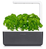 Умный сад Click & Grow Smart Garden 3 Базилик (Graphite) купить в интернет-магазине icover