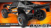 HPI Baja 5T 2WD 2.4 Ghz (HPI-110185) - радиоуправляемый бензиновый шорт-корс трак (Black) купить в интернет-магазине icover