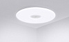 Потолочная лампа Xiaomi Philips Ceiling Lamp (White) купить в интернет-магазине icover