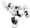 Робот Leju Aelos 1S 1CSC20003638 (White) купить в интернет-магазине icover