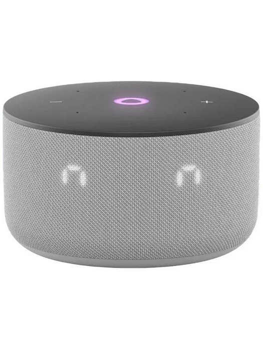 Умная колонка Яндекс Станция Мини 3 YNDX-00027 (Grey) купить в интернет-магазине icover