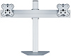 Кронштейн ErgoFount RSST-4520/2 для 2 мониторов 24" (Steel) купить в интернет-магазине icover