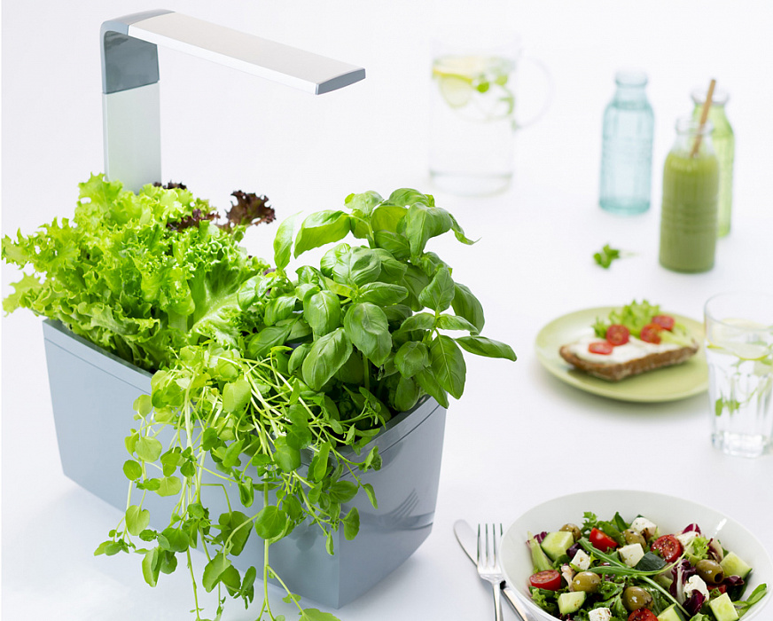 Умный сад Tregren T6 Kitchen Garden (Grey) купить в интернет-магазине icover