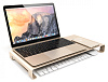 Подставка для монитора Satechi Universal Aluminum Unibody ST-ASMSG (Gold) купить в интернет-магазине icover