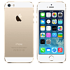 Apple iPhone 5S 64Gb Gold (ME440RU/A) LTE купить в интернет-магазине icover