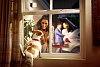 Уличный фонарь Philips Hue Lucca 8718696166048 (Anthracite) купить в интернет-магазине icover