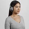 Bluetooth-наушники с микрофоном Master&Dynamic MW65 ANC (Gunmetal/Black Leather) купить в интернет-магазине icover