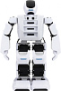 Робот Leju Aelos 1EDU 1CSC20003640 (White) купить в интернет-магазине icover
