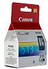 Canon CL-513 (2971B007) - картридж для Canon PIXMA MP240/250/260/480 (Color) купить в интернет-магазине icover