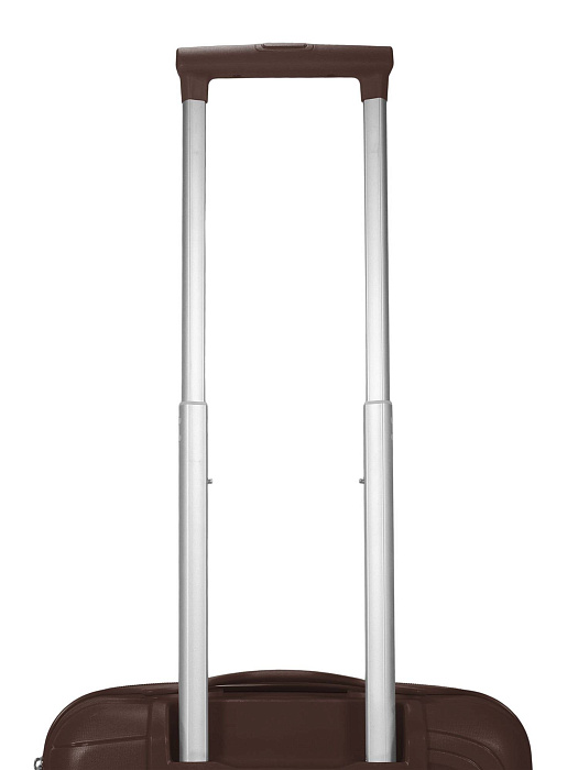 Чемодан Ridberg ICON (Coffee) размер S купить в интернет-магазине icover