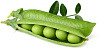 Комплект картриджей Click & Grow Карликовый Горох 3 Pack (Green) купить в интернет-магазине icover