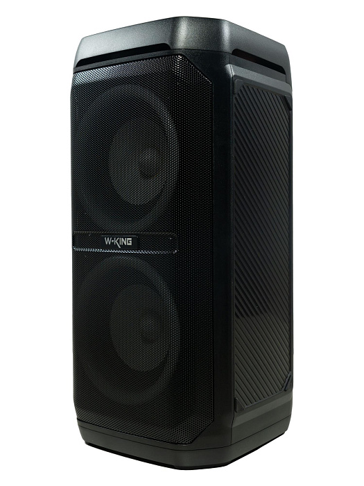 Колонка портативная W-KING T11+ 2Micro (Black) купить в интернет-магазине icover