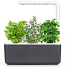 Умный сад Click & Grow Smart Garden 3 Чайный набор (Graphite) купить в интернет-магазине icover
