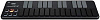 MIDI-клавиатура Korg nanoKEY2 A030500 (Black) купить в интернет-магазине icover