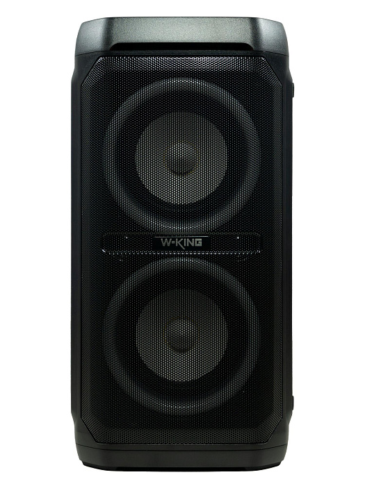 Колонка портативная W-KING T11+ 2Micro (Black) купить в интернет-магазине icover