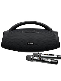 Колонка портативная W-KING D20S (Black) купить в интернет-магазине icover