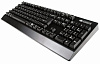 Zowie Celeritas - игровая клавиатура (Black/Cherry MX Brown) купить в интернет-магазине icover