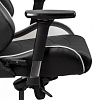 DXseat P33/XW - компьютерное кресло (Black/White) купить в интернет-магазине icover