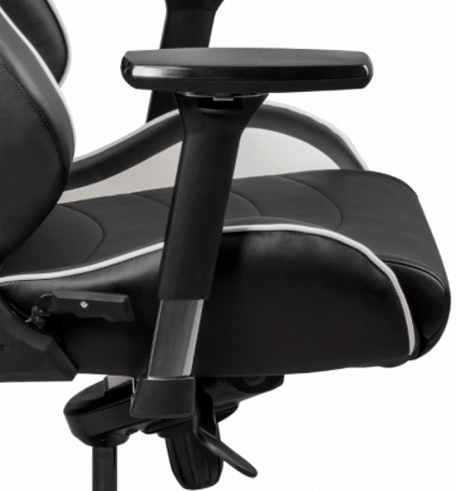 DXseat P33/XW - компьютерное кресло (Black/White) купить в интернет-магазине icover