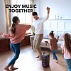 Портативная акустика Anker Soundcore Mega (Black) купить в интернет-магазине icover