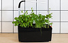 Умный сад Tregren T6 Kitchen Garden (Black) купить в интернет-магазине icover