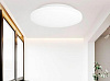 Потолочная лампа Xiaomi Yeelight Galaxy Ceiling Light Basic Version YLXD61YI (White) купить в интернет-магазине icover
