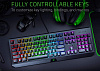Игровая клавиатура Razer BlackWidow 2019 Green Switch RZ03-02861100-R3R1 (Black) купить в интернет-магазине icover