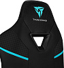 Игровое кресло ThunderX3 TC5 (Jet Black) купить в интернет-магазине icover