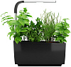 Умный сад Tregren T6 Kitchen Garden (Black) купить в интернет-магазине icover