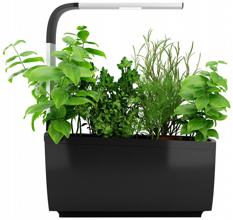 Умный сад Tregren T6 Kitchen Garden (Black) купить в интернет-магазине icover