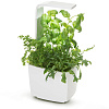 Умный сад Tregren T3 Kitchen Garden (White) купить в интернет-магазине icover