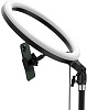 Кольцевая лампа Baseus Live Stream Holder-table Stand 10" (CRZB10-A01) купить в интернет-магазине icover