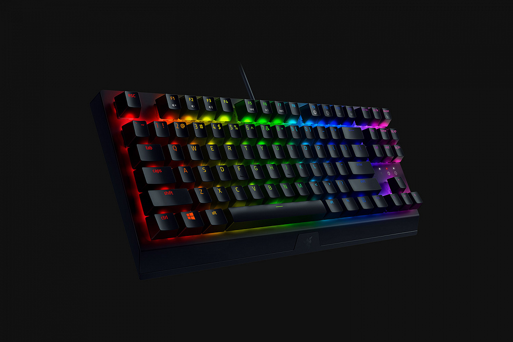 Игровая клавиатура Razer BlackWidow V3 Green Switch RZ03-03490700-R3R1 (Black) купить в интернет-магазине icover