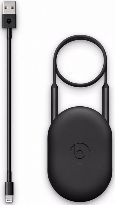 Беспроводные наушники BeatsX MLYE2ZE/A для устройств Apple (Black) купить в интернет-магазине icover