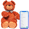 Интерактивная игрушка Умный Мишка (Brown) купить в интернет-магазине icover