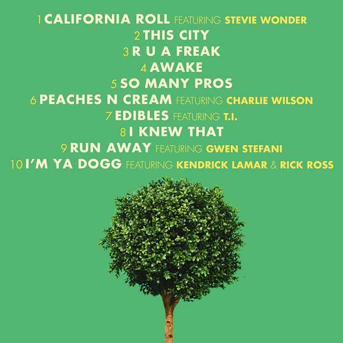 Виниловая пластинка Snoop Dogg - Bush (2015) купить в интернет-магазине icover