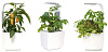 Умный сад Tregren T3 Kitchen Garden (White) купить в интернет-магазине icover