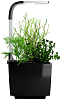 Умный сад Tregren T3 Kitchen Garden (Black) купить в интернет-магазине icover