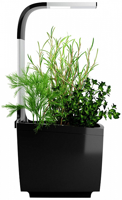 Умный сад Tregren T3 Kitchen Garden (Black) купить в интернет-магазине icover