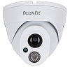 Уличная купольная IP-камера Falcon Eye (FE-IPC-DL100P) купить в интернет-магазине icover