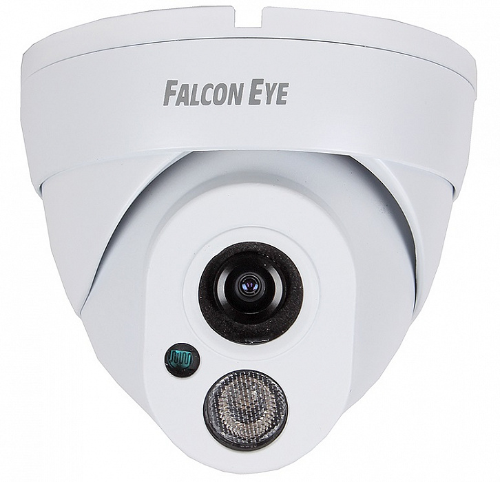Уличная купольная IP-камера Falcon Eye (FE-IPC-DL100P) купить в интернет-магазине icover