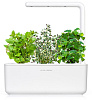 Умный сад Click & Grow Smart Garden 3 Чайный набор (White) купить в интернет-магазине icover