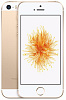 Смартфон Apple iPhone SE 128 Gb 4 (Gold) купить в интернет-магазине icover