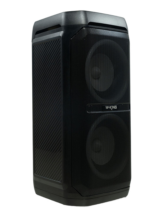 Колонка портативная W-KING T11+ 2Micro (Black) купить в интернет-магазине icover