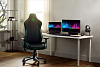 Игровое кресло Razer Iskur X RZ38-02840100-R3G1 (Black) купить в интернет-магазине icover