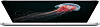 Apple MacBook Pro 15 Retina, Intel Core i7 2.8 GHz, 16Gb, SSD 1Tb Mid 2015 (MJLT2C1H1RU/A) купить в интернет-магазине icover