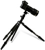 Dolica Proline Carbon Fiber Tripod (ZX600B103) - штатив для фотокамер  купить в интернет-магазине icover