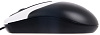 Genius NetScroll 100 1000 dpi - проводная мышь (Black/Silver)  купить в интернет-магазине icover
