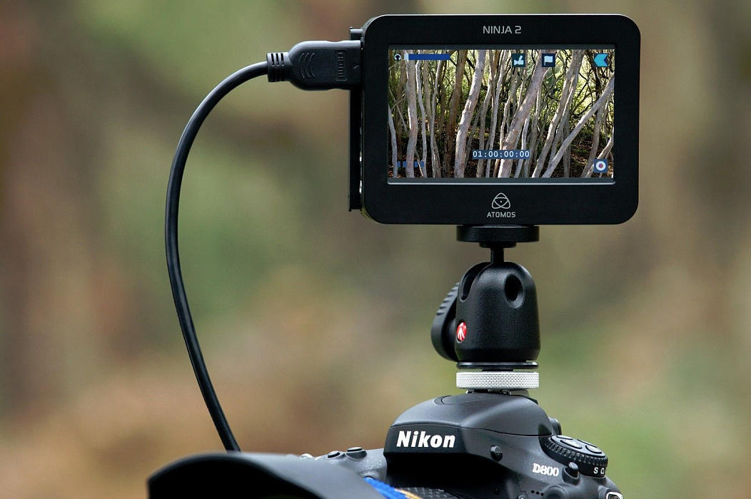 Atomos Ninja 2 (ATOMNJA003) - накамерный рекордер (новая комплектация) купить в интернет-магазине icover