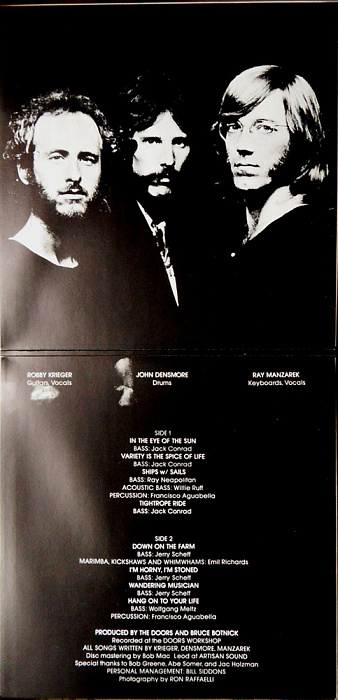 Виниловая пластинка The Doors - Other Voices (1971) купить в интернет-магазине icover